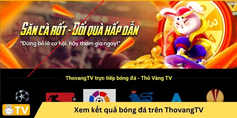 hướng dẫn xem kết quả bóng đá Ngoại Hạng Anh